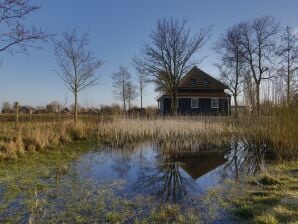 Ferienpark Villa in Hippolytushoef mit Terrasse - Wieringen - image1