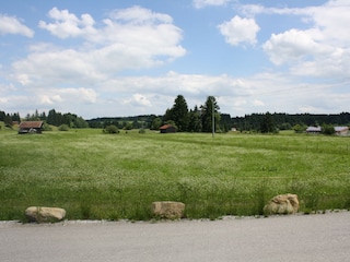 Blick aus dem Küchenfenster