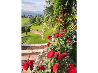 Appartamento per vacanze Eppan Registrazione all'aperto 7