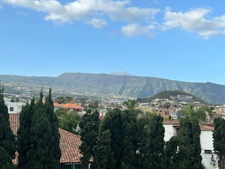 Holiday apartment Puerto de la Cruz Environment 40