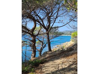 Coastal path