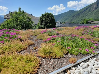 Unsere Terrassenaussicht