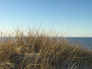 Strand mit Dünen