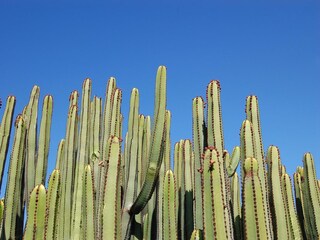 Maison de vacances Maspalomas Environnement 47