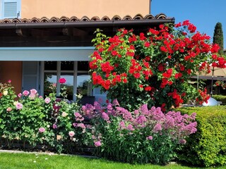 Appartamento per vacanze Nizza Monferrato Registrazione all'aperto 2