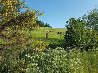 Trailer Oberlascheid Environment 37