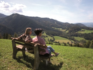 Ausblick