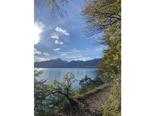 Walchensee