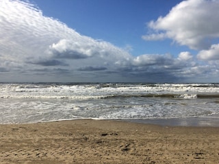 Holiday house Noordwijk Environment 33