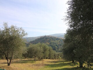 Views of the area