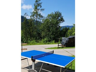Tischtennis