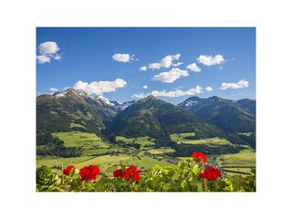 Vakantieappartement Piesendorf Buitenaudio-opname 7