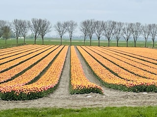 Ferienhaus Sint Maartenszee Umgebung 33