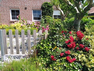 Holiday house Greetsiel Outdoor Recording 3