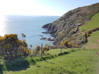 Caravan Polperro Omgeving 16