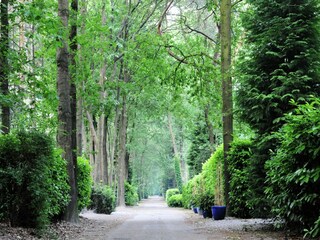 Vakantiepark Baarle-Nassau Omgeving 30