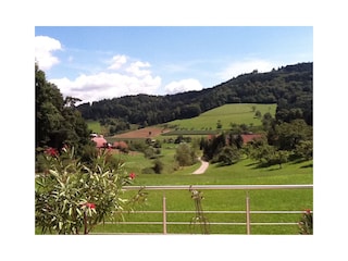 Talblick