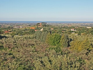 Appartement de vacances Genzano di Roma Environnement 16