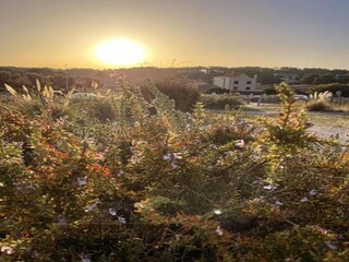 Holiday park Lacanau Environment 21