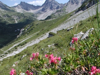 Pure nature
