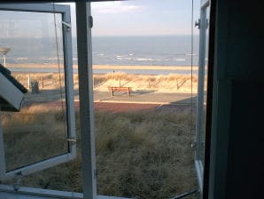 Ferienhaus Zeeduin met zeezicht