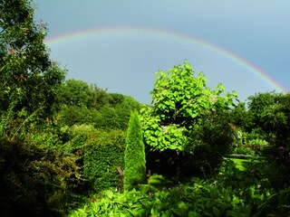 Regenbogen über dem Garten