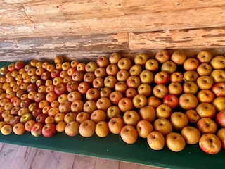 frische Blumen und Obst für unsere Gäste