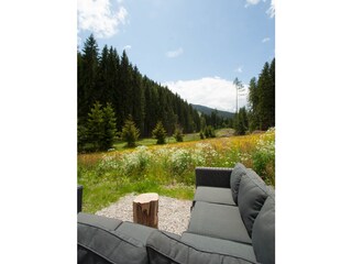 Chalet Haus im Ennstal Buitenaudio-opname 5