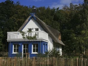 Ferienhaus ''Darßsünn'' - Born an der Darß - image1