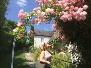 Appartamento per vacanze Klosterneuburg Registrazione all'aperto 4