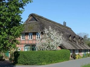 "Auf dem Deich" - Holiday apartments Bremen - Blockland - image1
