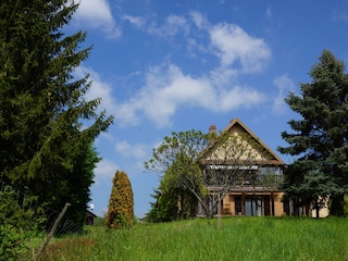 Gartenseite
