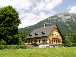 Ferienwohnung die Traunmühle - Bad Aussee - image1